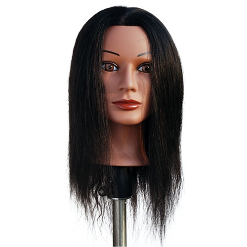cosmetology mannequin head human hair-New-Ms. Gemma Manikin