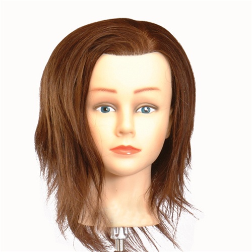 Celebrity 19 Cosmetology Mannequin Head 100% Human Hair, Brown - Bridgette