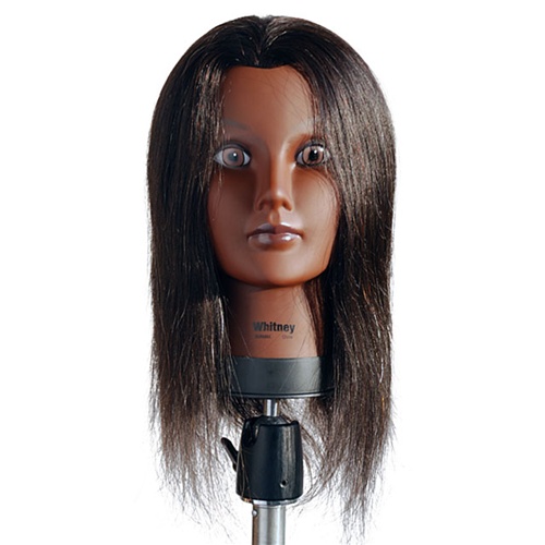 Celebrity 21 Cosmetology Mannequin Head 100% Human Hair, Brown - Debra